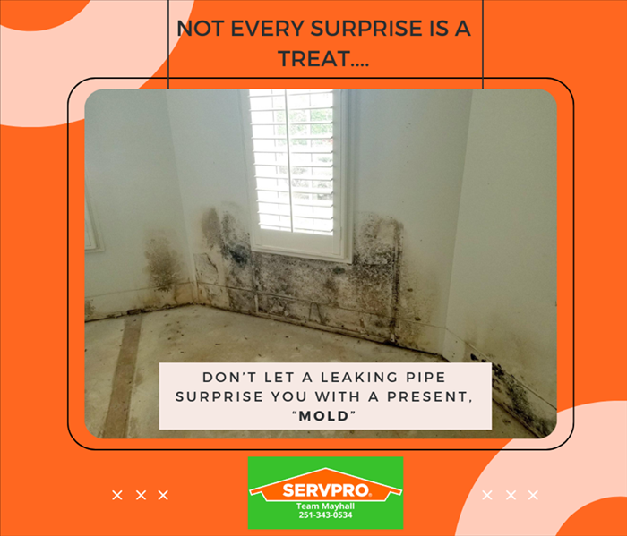 Unexpected water leak, mold growth in home, Mobile, AL