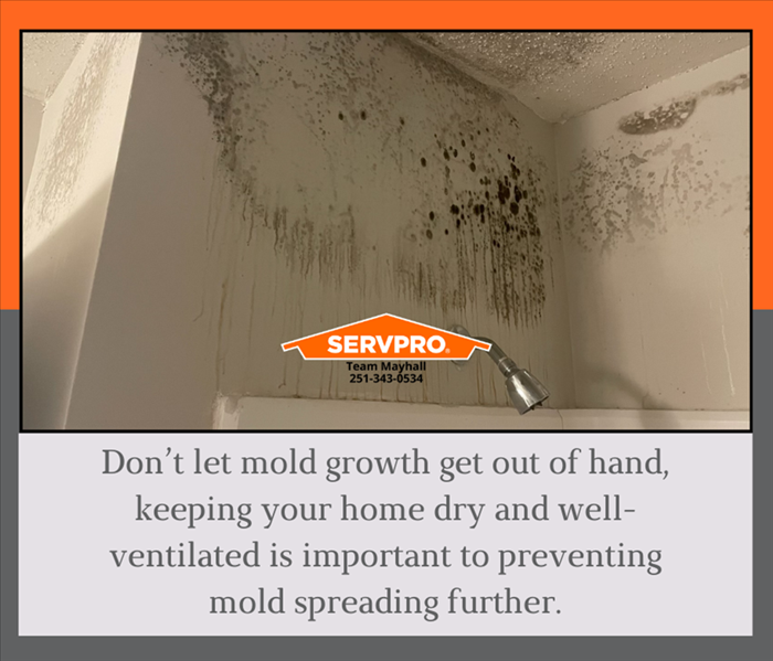 mold removal, mold cleanup, mold damage, Mobile AL, SERVPRO, SERVPRO of Mobile County