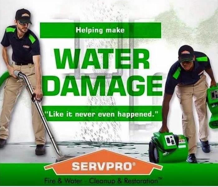 green photo with SERVPRO technicians