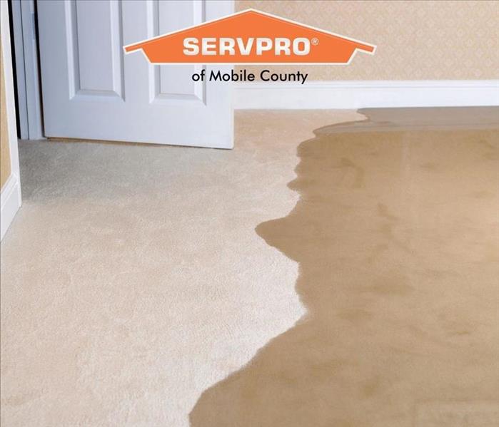 picture of cream carpeting with standing water